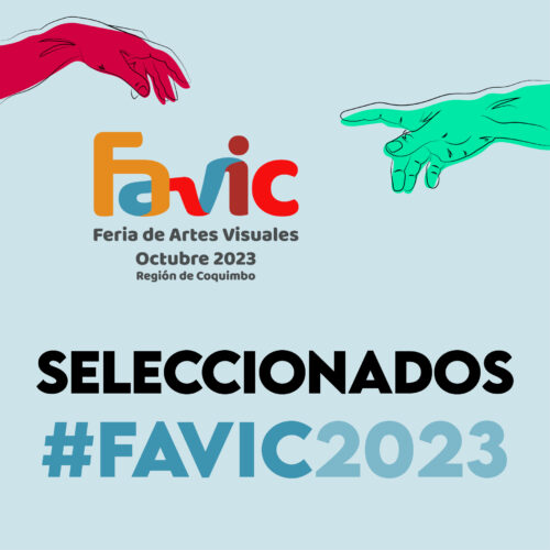 Seleccionados Favic 2023