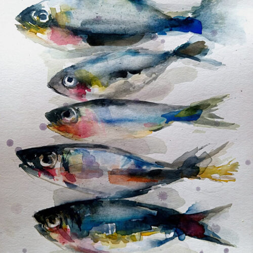 Fernando Montero Rivas