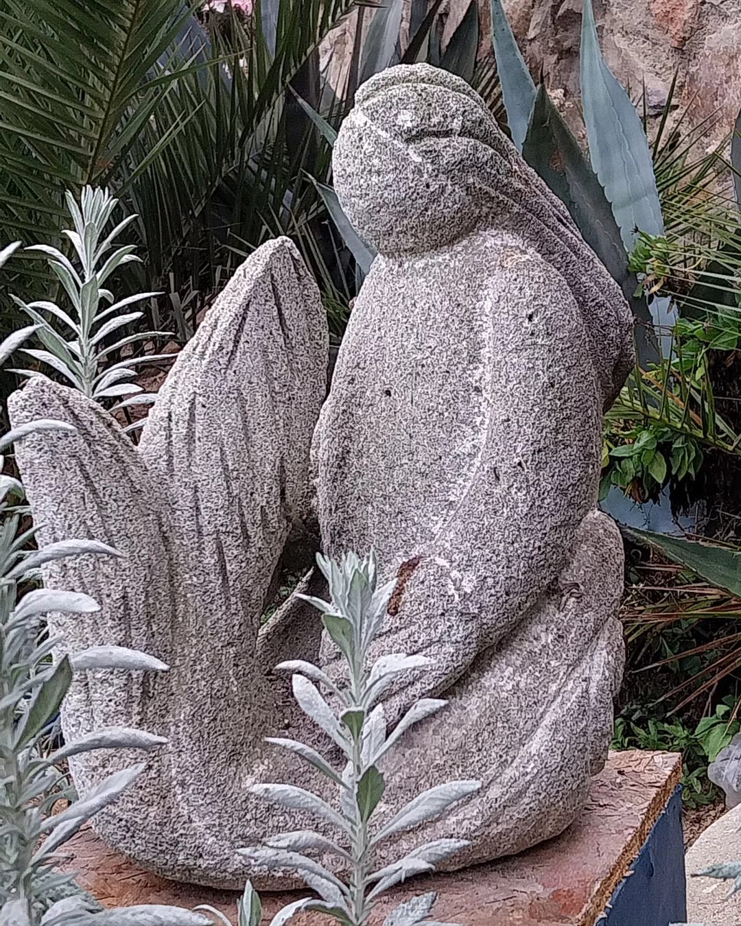 tomas2 Tomás Briceño